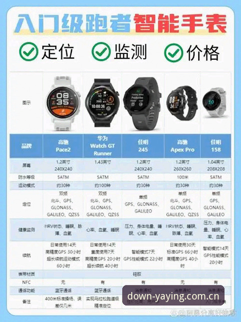 亚盈体育体育软件怎么样？官方版vs第三方渠道的全面对比与选择指南